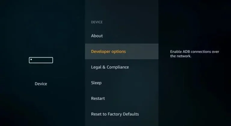 Fire TV settings screen showing Developer Options